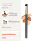Jane iredale Concealer Brush - Meikkitarvikkeet ja siveltimet - 100000631 - 1